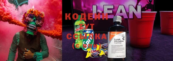 гашик Алзамай