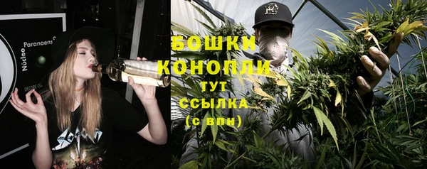 PSILOCYBIN Алексин