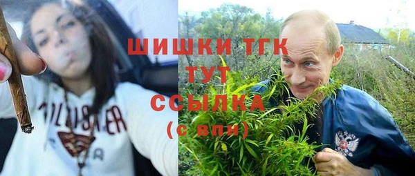 шишки Алексеевка